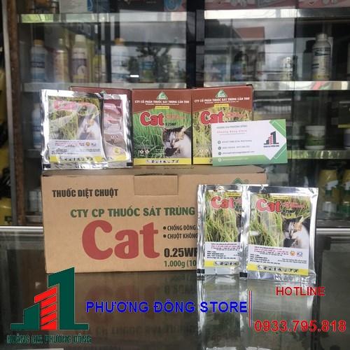 Cat 0.25WP